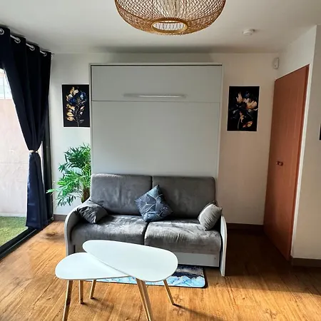 Apartment Piscine Plages A 100 M, Palais Des Festivals A 15mn A Pied Dans La Banane Cannes